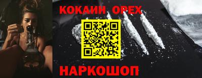 ПСИЛОЦИБИНОВЫЕ ГРИБЫ Гатчина