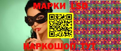 ПСИЛОЦИБИНОВЫЕ ГРИБЫ Гатчина
