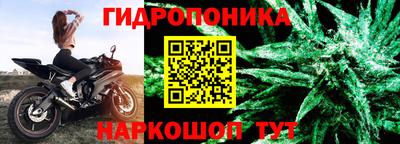 ПСИЛОЦИБИНОВЫЕ ГРИБЫ Гатчина